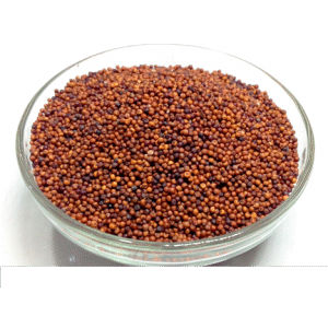 Ragi